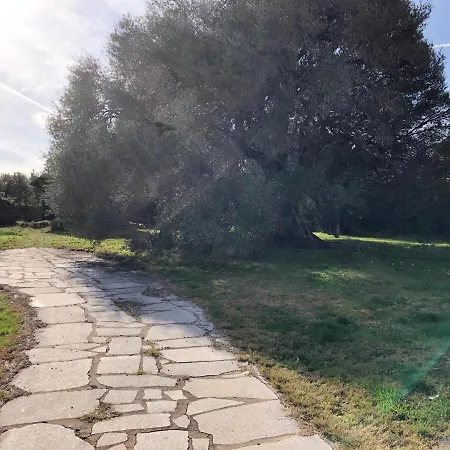 Oda ve Kahvaltı Sweet Yoga Retreat Smart Working