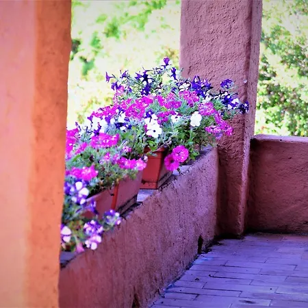 Oda ve Kahvaltı Sweet Yoga Retreat Smart Working
